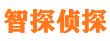 正阳外遇调查取证